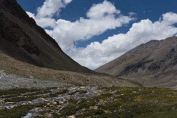 Fototapeta na wymiar Stream flowing through meadows; with himalayas in background in Ladakh landscape, India, Asia