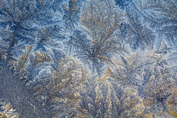 Winter Frost Patterns on Window