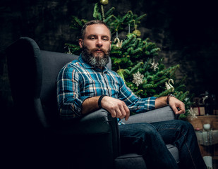 Bearded male over Christmas decorated background.