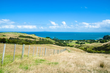 A beautiful Shakespear Bay which is located in the Shakespear Regional Park, Auckland Region, New Zealand