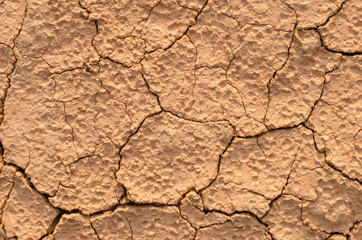 Close up dry crack soil texture background.