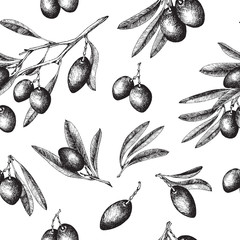 Olives seamless pattern sketch style vector hand drawn background, olive branches with leaves over white backdrop. Italian food.