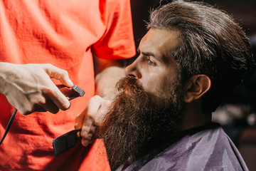 Handsome bearded man in barbershop
