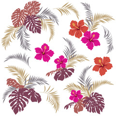 トロピカルリーフ