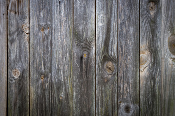 Fototapeta premium The old wood texture with natural patterns