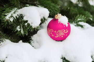 Beautiful Pink Christmas Ball on the Fir Branch Covered with Sno