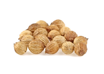 Coriander seeds isolated on white background