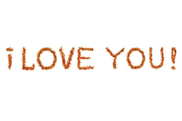 Inscription I LOVE YOU made of  red and yellow tinsel on a white background. Isolated