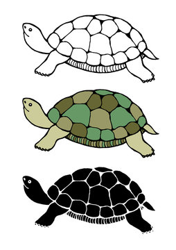 set of tortoise, turtle design vector cartoon