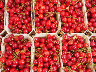 cherries organic market