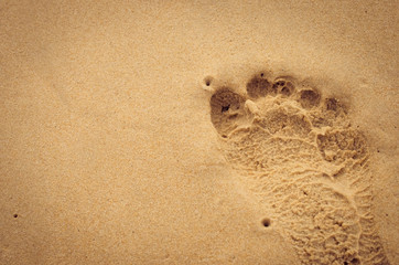Fototapeta na wymiar Copy space of footprint on sand beach texture background.