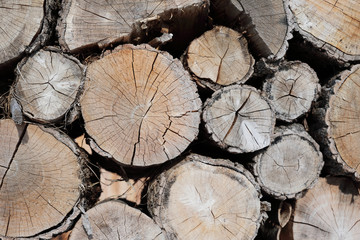 pattern of brown wood log background texture