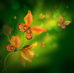 Naklejka na ściany i meble Amazing butterflies from the petals of orchids, floral background. Flowers and insects.