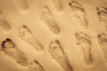 Copy space of footprint on sand beach texture background.