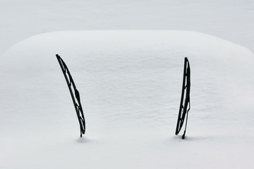 Two windscreen wipers poking out of a blanket of snow covering a car