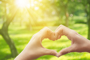 Female hands heart shape on nature green bokeh sun light flare and blur leaf abstract background.