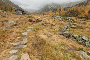 Fototapeta na wymiar walking at fall in a cloudy day in a mountain valley