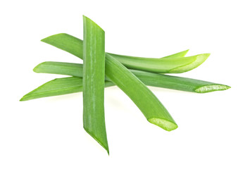 Green onion herb chopped isolated on white background