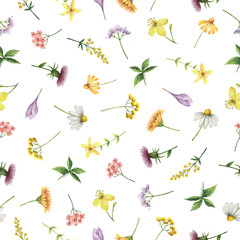 Fototapety  Watercolor seamless pattern with medical herbs and plants.