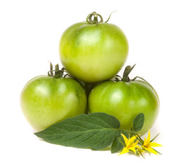 three green unripe tomato with a flower and leaf isolated on white background