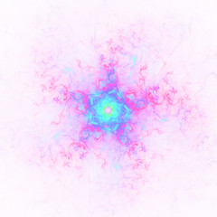 Pink blue decorative fantasy flower