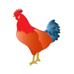 Vector colorful rooster, symbol of 2017 year
