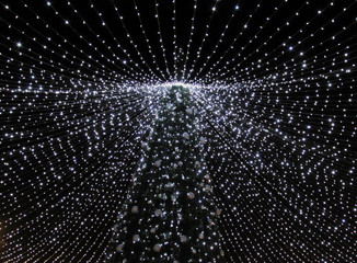 Christmas tree at night