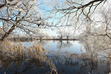 rime frost landscape at Havel river (Brandenburg - Germany)