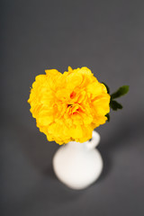 gul plast nejlika mot grå bakgrund