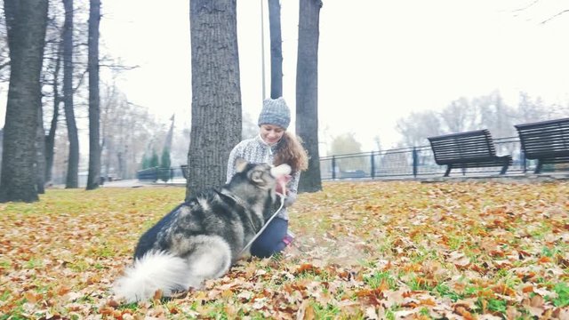 Image of young girl playing with her dog, alaskan malamute