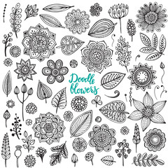 Big set of hand drawn vector flowers, branches, leaves