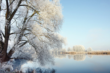rime frost landscape at Havel river (Brandenburg - Germany)