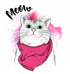 Portrait of a Cat with a scarf. vector illustration.Abstract Background with Watercolor Stains