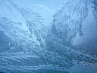 Frost