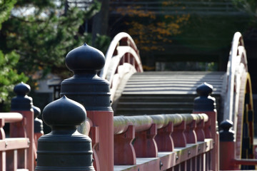 wood bridge