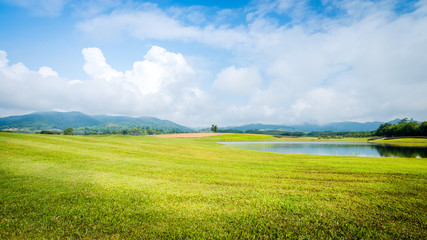 grass field with lake