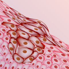 Growing Tumor, Tissue Section - Vector Illustration - 130985220