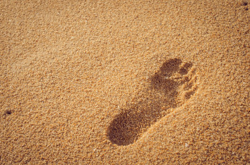 Copy space of footprint on sand beach. Travel concept.
