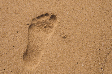 Copy space of footprint on sand beach texture background.