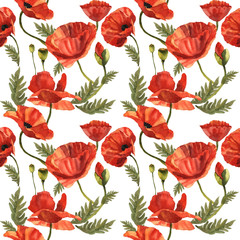Fototapeta na wymiar Wildflower poppy flower pattern in a watercolor style isolated.