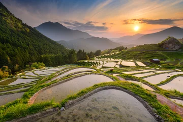 Poster Rice Terraces in Japan © SeanPavonePhoto