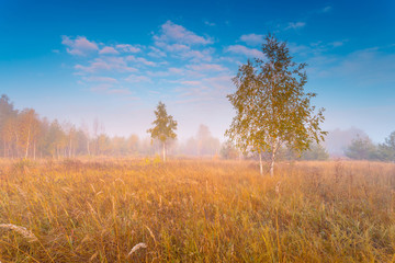 Fototapeta premium Autumnal foggy sunrise landscape.