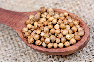 Coriander seeds in a spoon