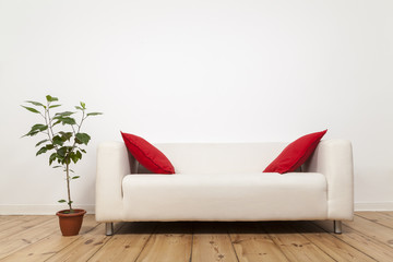 Sofa mit roten Kissen und Pflanze, freie  Wand