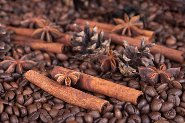seasoning cinnamon (Cinnamomum) and anise (Anisium vulgare Gaerto) lies on the coffee beans among Christmas pine cones, background, close-up