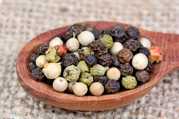 Colorful peppercorns in a spoon