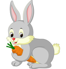 illustration of cute rabbit cartoon