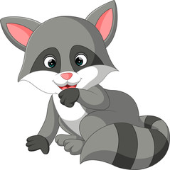 Obraz premium baby raccoon cartoon