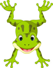 Obraz premium Cute frog cartoon
