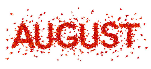 Origami bird.Vector illustration.Polygonal shape.Art of paper folding.Japan crane,pigeon. Date, month  the year. August